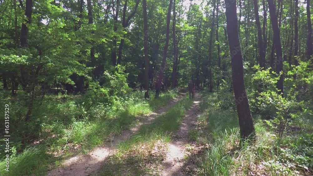 Tourist walking dirt path through a green forest Tourist walking dirt path through a green forest