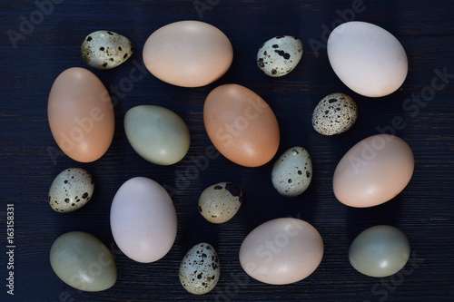 Set of different types birds eggs from chicken, pheasant and quail on a dark background. photo