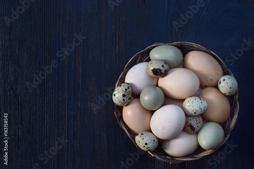 Set of different types birds eggs from chicken, pheasant and quail on a dark background. photo