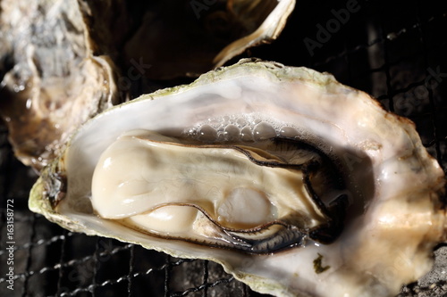 牡蠣網焼き Grilled oyster