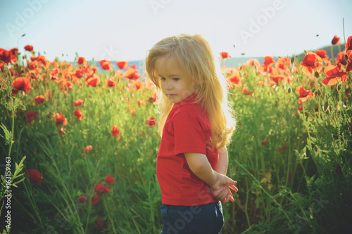 little boy or child in field of poppy seed