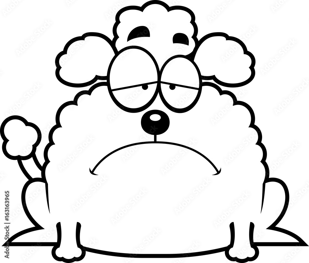 Obraz premium Sad Little Poodle
