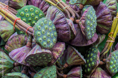 Purple and green color lotus pods background at morning market in Thailand photo