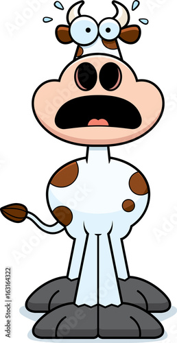 Scared Cartoon Cow