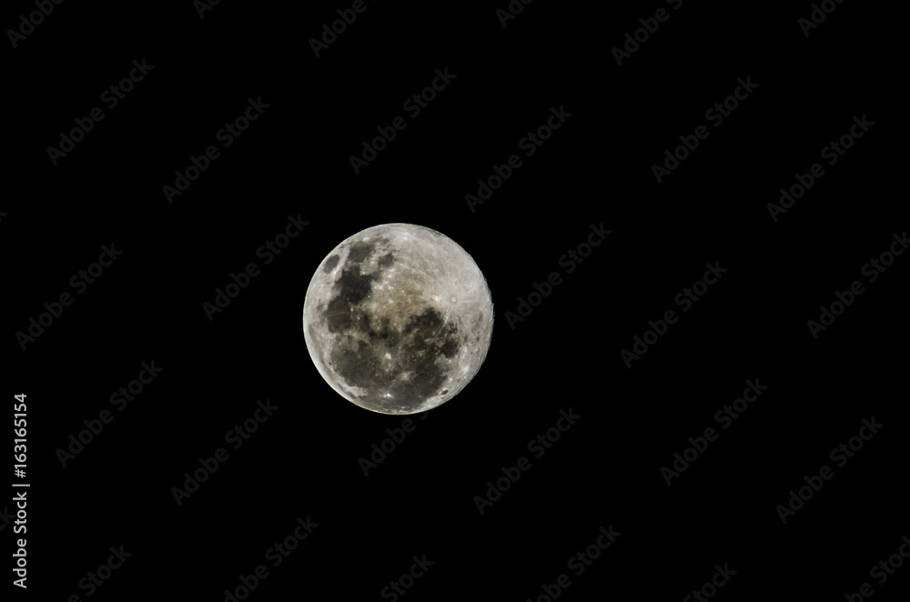 Obraz premium full moon