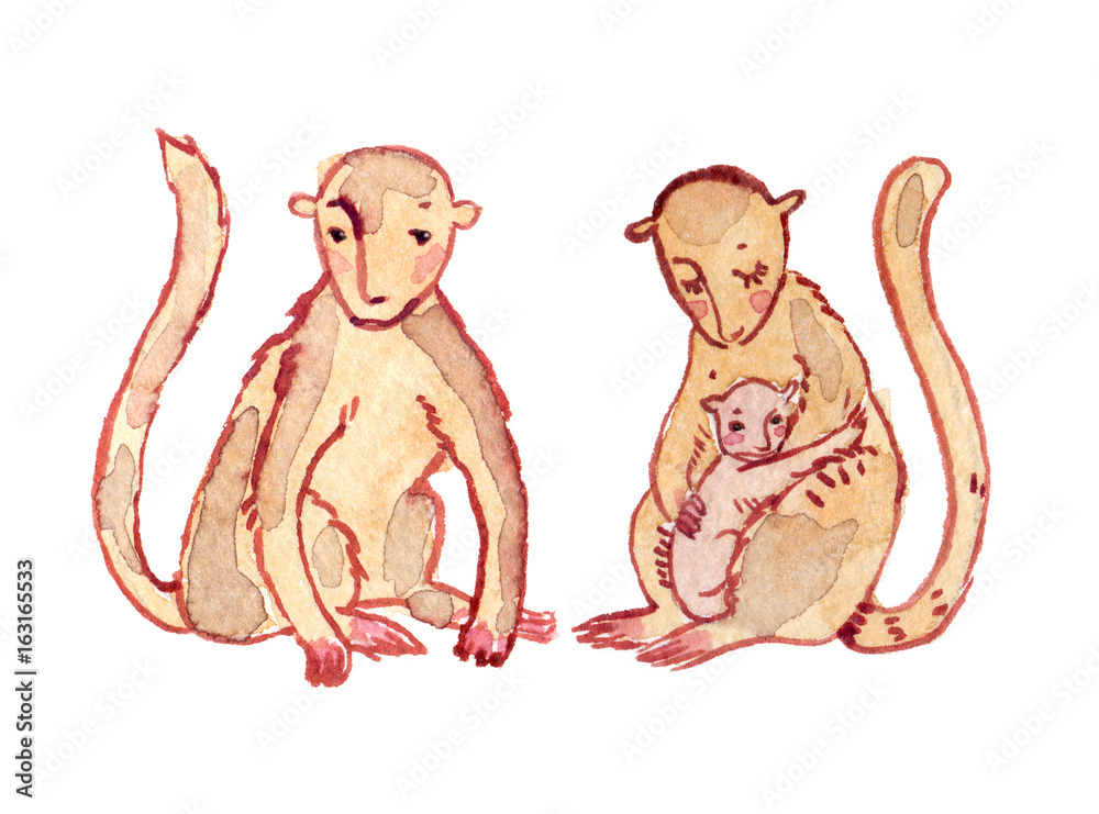 Cute cartoon monkey family painted in watercolor on clean white background  Stock Illustration | Adobe Stock