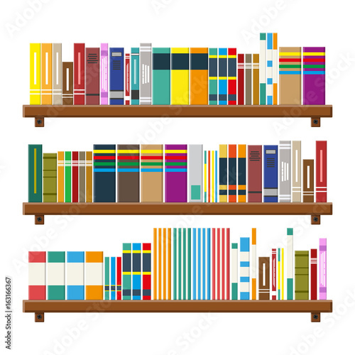 Library book shelf. Bookcase with different books.