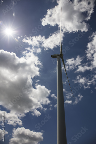 Renewable energy. Farm of wind turbines on the corn field.