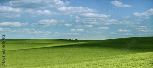 Beautiful fairytale landscape with shadows on field of wheat in Moravian Tuscany in Czech republic.