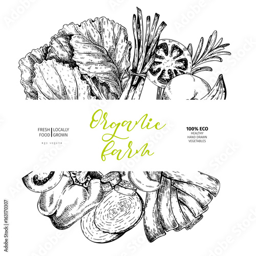 Vector hand drawn farm vegetables. Round border composition. Tomato, onion, cabbage, pepper, leek. Engraved art. Organic sketched vegetarian objects.