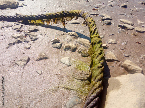 Rope in the mud at the beach