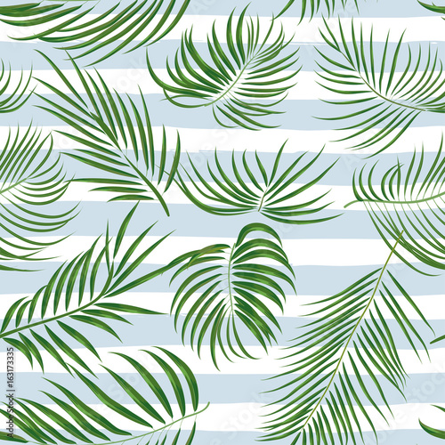 Seamless hand drawn tropical pattern with palm leaves  jungle exotic leaf on white background