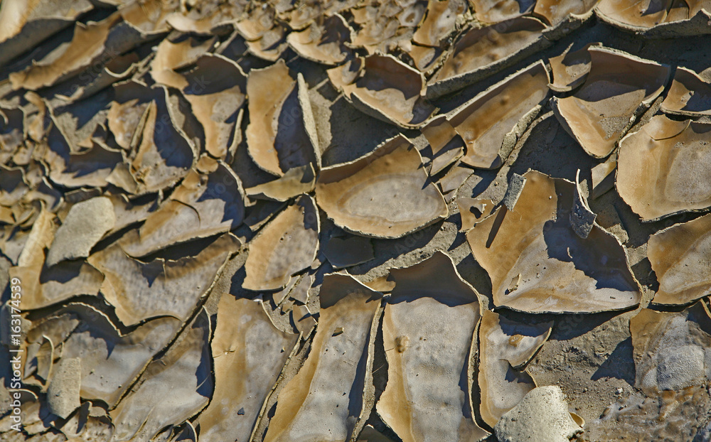 Arid ground in death valley. Hottest, Driest, and Lowest National Park. In this below-sea-level basin, steady drought and record summer heat make Death Valley a land of extremes. 