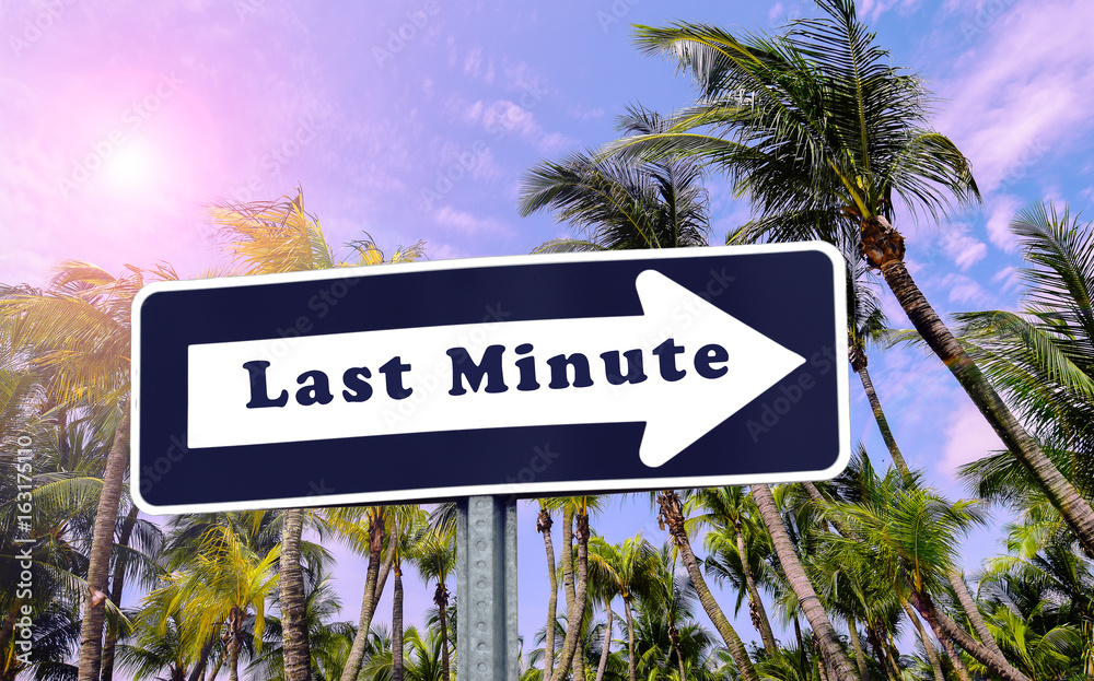 Fototapeta premium Last Minute arrow sign against palm tree background.
