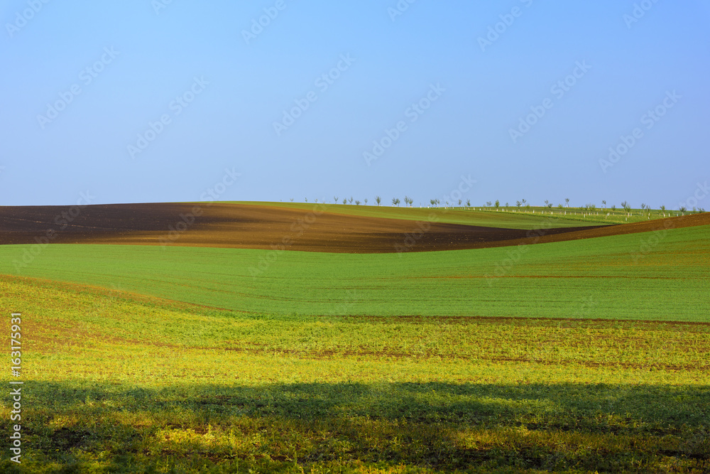 Wavy hills, spring time in South Moravia