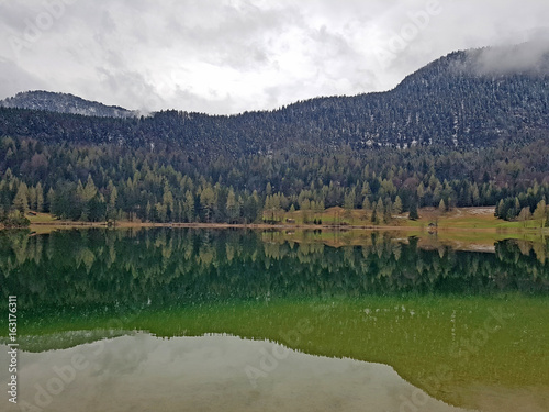 Waldh  gel spiegeln sich im See