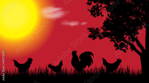 Vector silhouette of rooster and hen in nature at sunset.