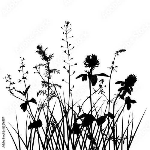 vector wild plants silhouettes © cat_arch_angel
