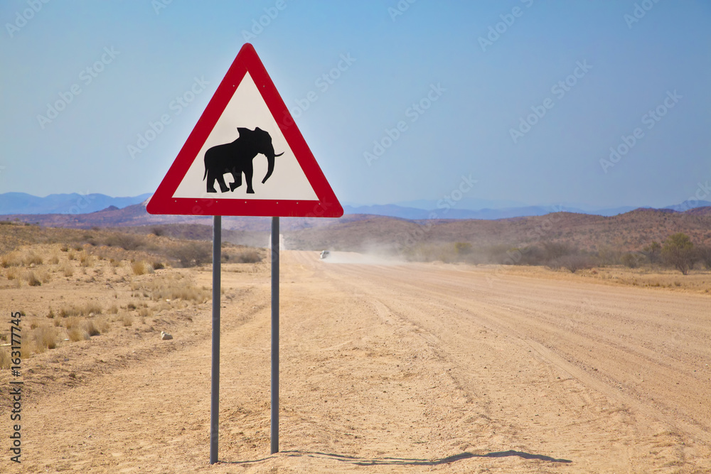 Elephant Crossing, Namibia