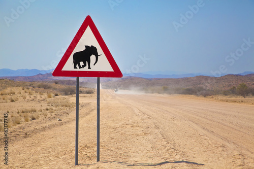 Elephant Crossing, Namibia