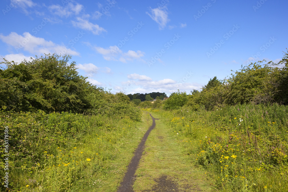 Obraz premium cinder footpath