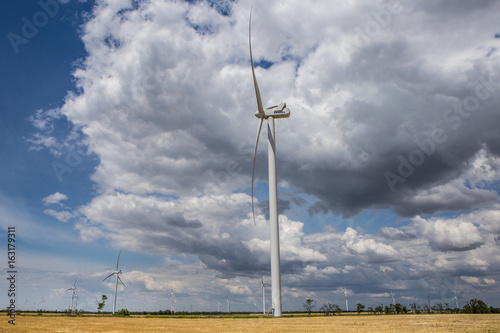 Coastal wind farm in the middle of a wheat field, Botievo, Ukraine photo