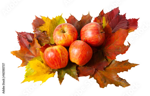 Apples and autumn leaves isolated on white background