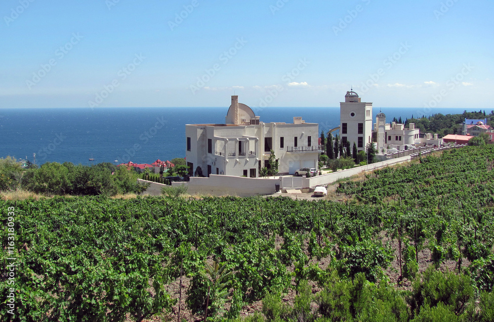 Beautiful houses near the sea, fields around