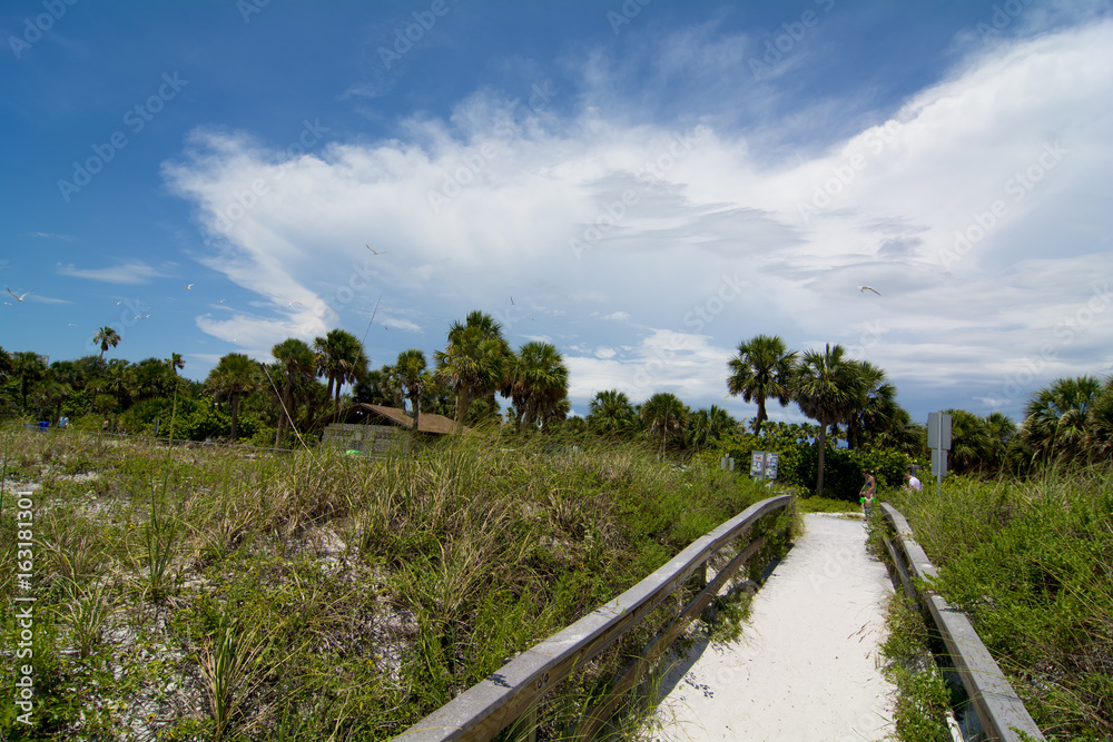 walkway to beach walkway to beach