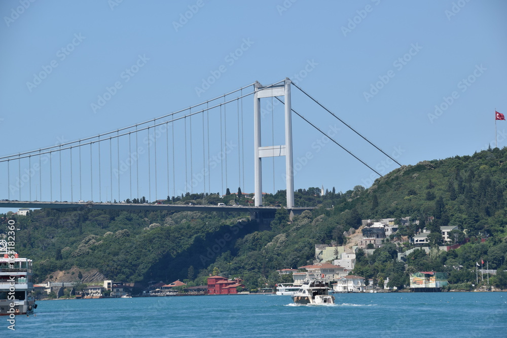 Fototapeta premium STAMBUŁ KRAJOBRAZY GARDŁA