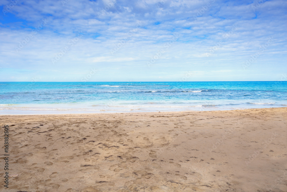 Fototapeta Karaibska plaża. Lazurowe morze karaibskie i piaszczysta plaża