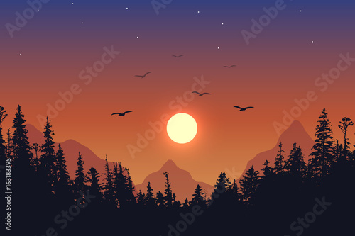 View to forest on sunset background