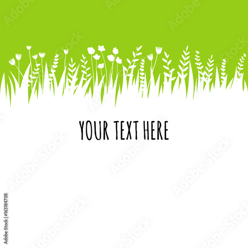 Summer green grass background for text. Vector eco, nature design banner, template