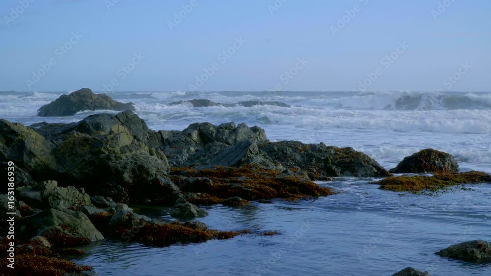 The wild and rocky coast of Shelter Cove The wild and rocky coast of Shelter Cove