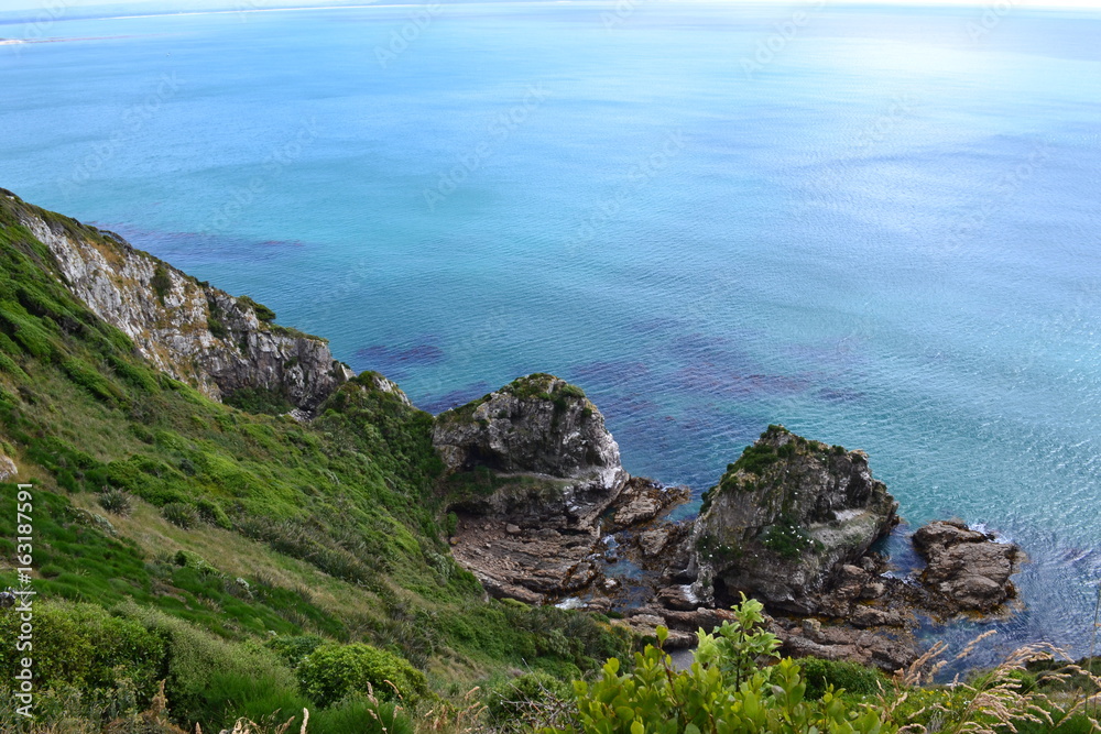 ocean view in New Zealand