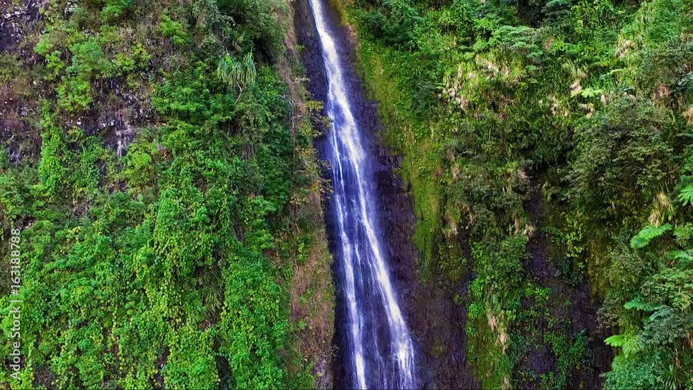 vu aérienne d'une jungle tropicale en polynésie française 