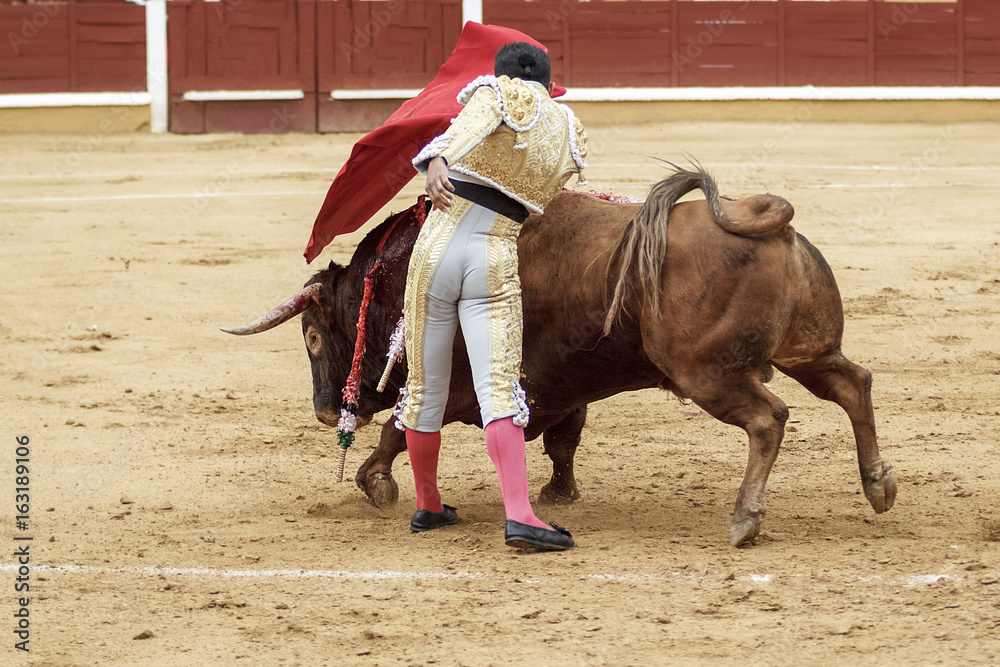 Torero y toro en la plaza. Tarde de toros. Fiesta Nacional. Torero y toro en la plaza. Tarde de toros. Fiesta Nacional.