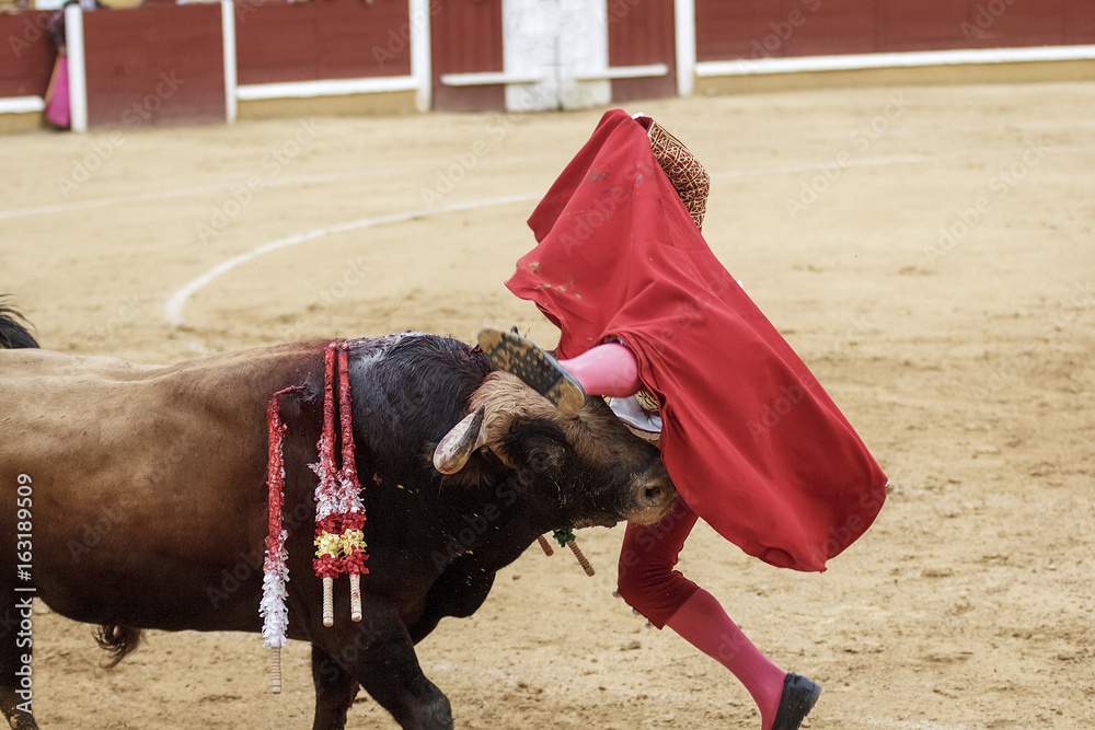 Torero y toro en la plaza. Tarde de toros. Fiesta Nacional. Torero y toro en la plaza. Tarde de toros. Fiesta Nacional.