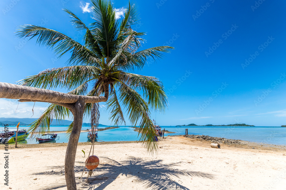 Ko tao