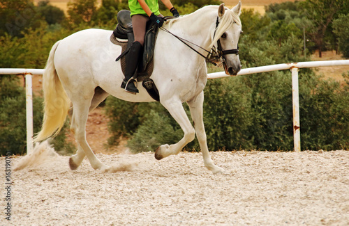 Riding with white horse © Nacho