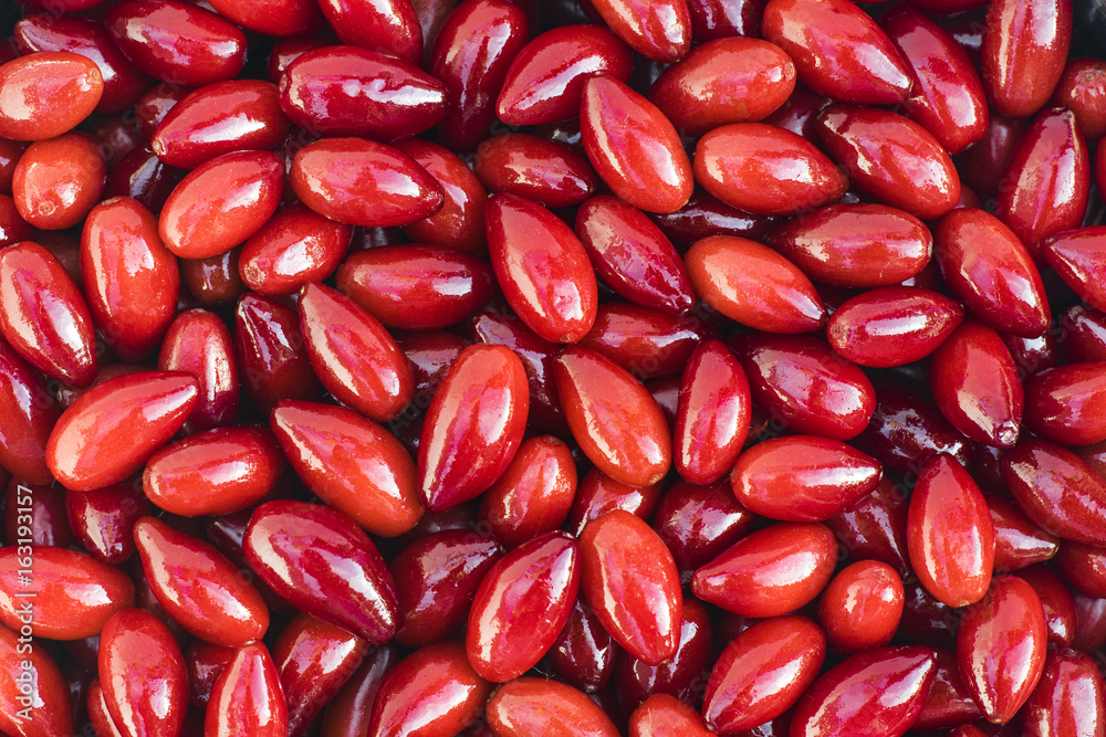 Photo of a red dogwood berry pattern for background Photo of a red dogwood berry pattern for background