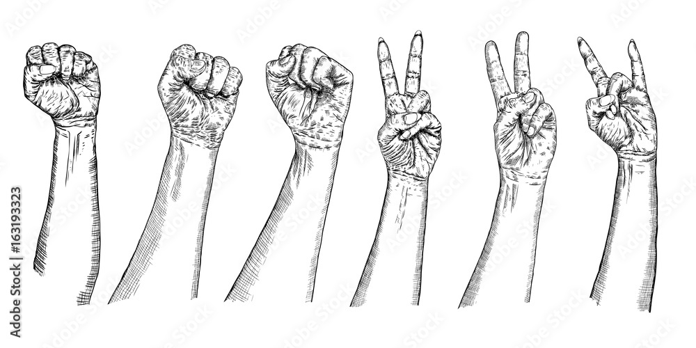 Naklejka premium Set of girl and man V sign hand and freedom fist symbol. Set of victory hand gestures. Drawn style pen and ink illustrations of female and male revolution signs wrists. Vector.