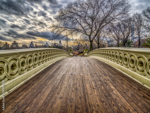 Fototapeta samoprzylepna Most w Central Park