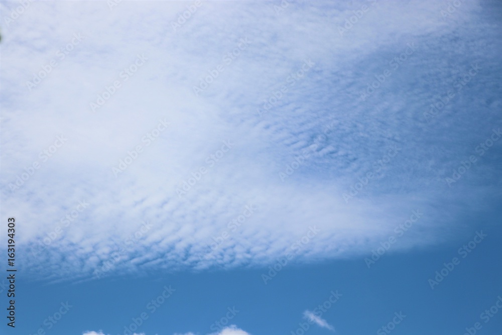 Fototapeta premium Blue sky with cloud background 