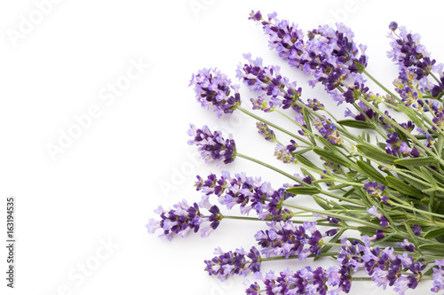 Lavender flowers.