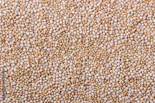 White quinoa seeds