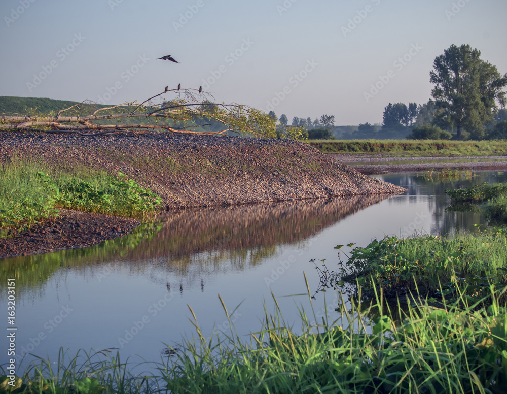 wild river colorful landscape with birds on tree and reflection
