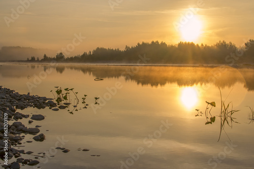 Obraz na płótnie wild river landscape in morning mist w salonie