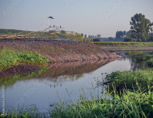 Obraz na płótnie wild river colorful landscape with birds on tree and reflection w salonie