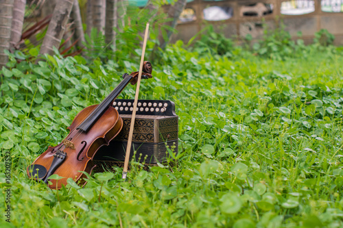 Принти на полотні .Violin with accordion Put on the lawn Wait for the party tonight